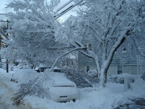 January 27th Snow on Park Street, Long Beach, NY